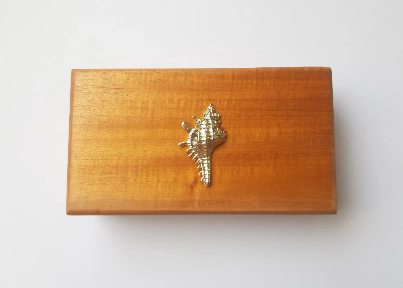 Conch Shell Mahogany Box