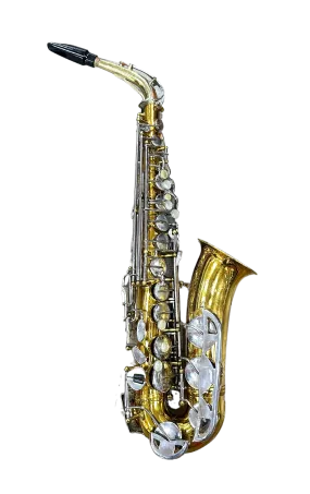 Conn 20M Student Alto Saxophone