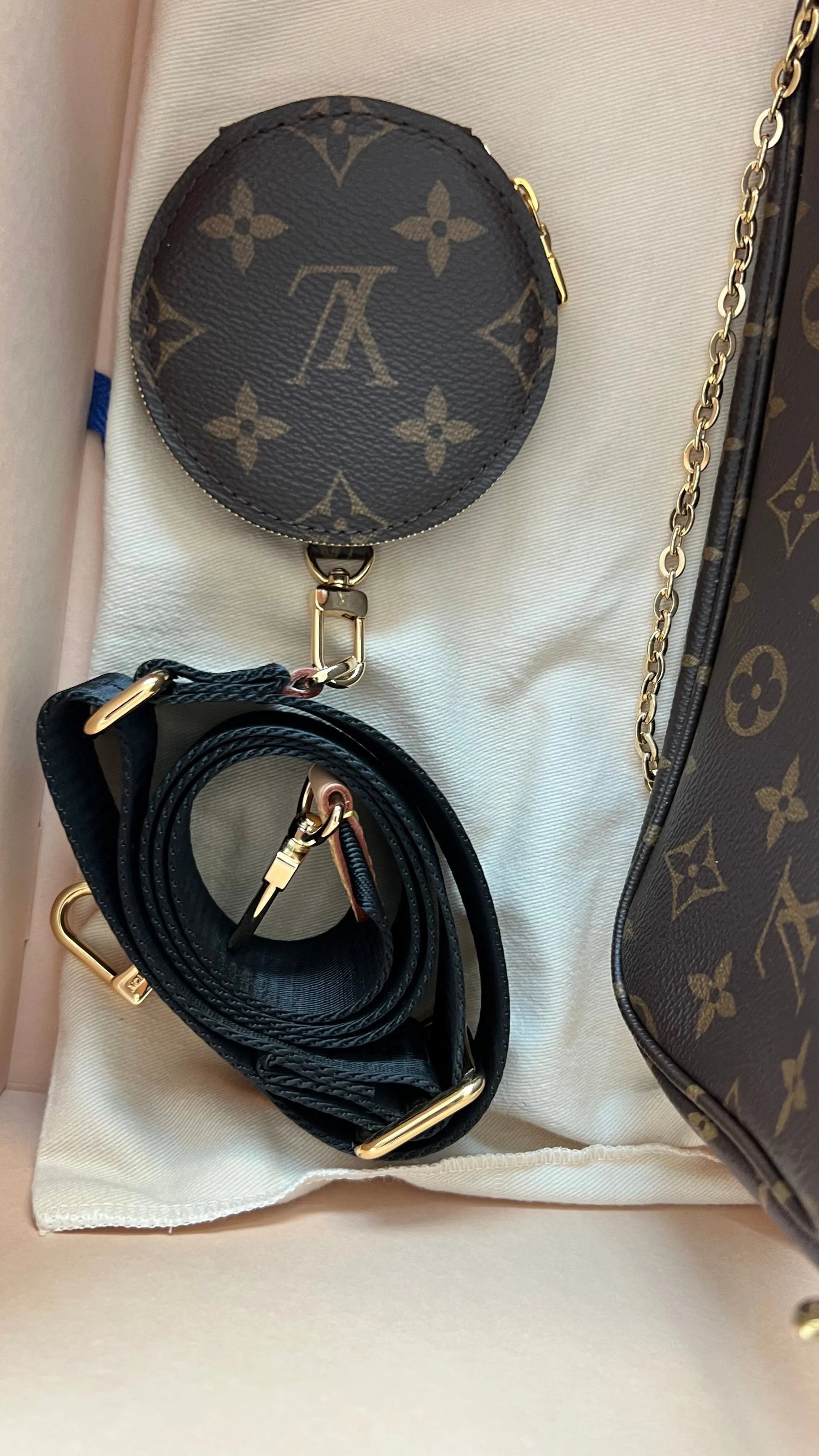 Louis Vuitton Multi Pochette Accessories Bag