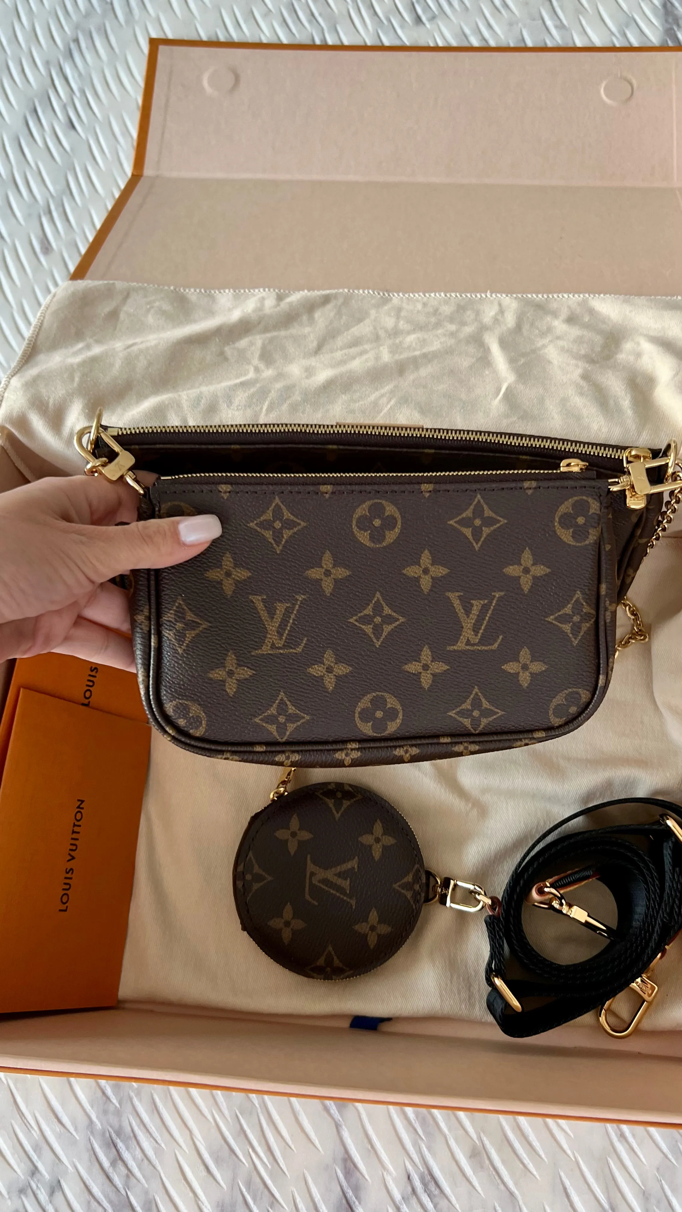 Louis Vuitton Multi Pochette Accessories Bag