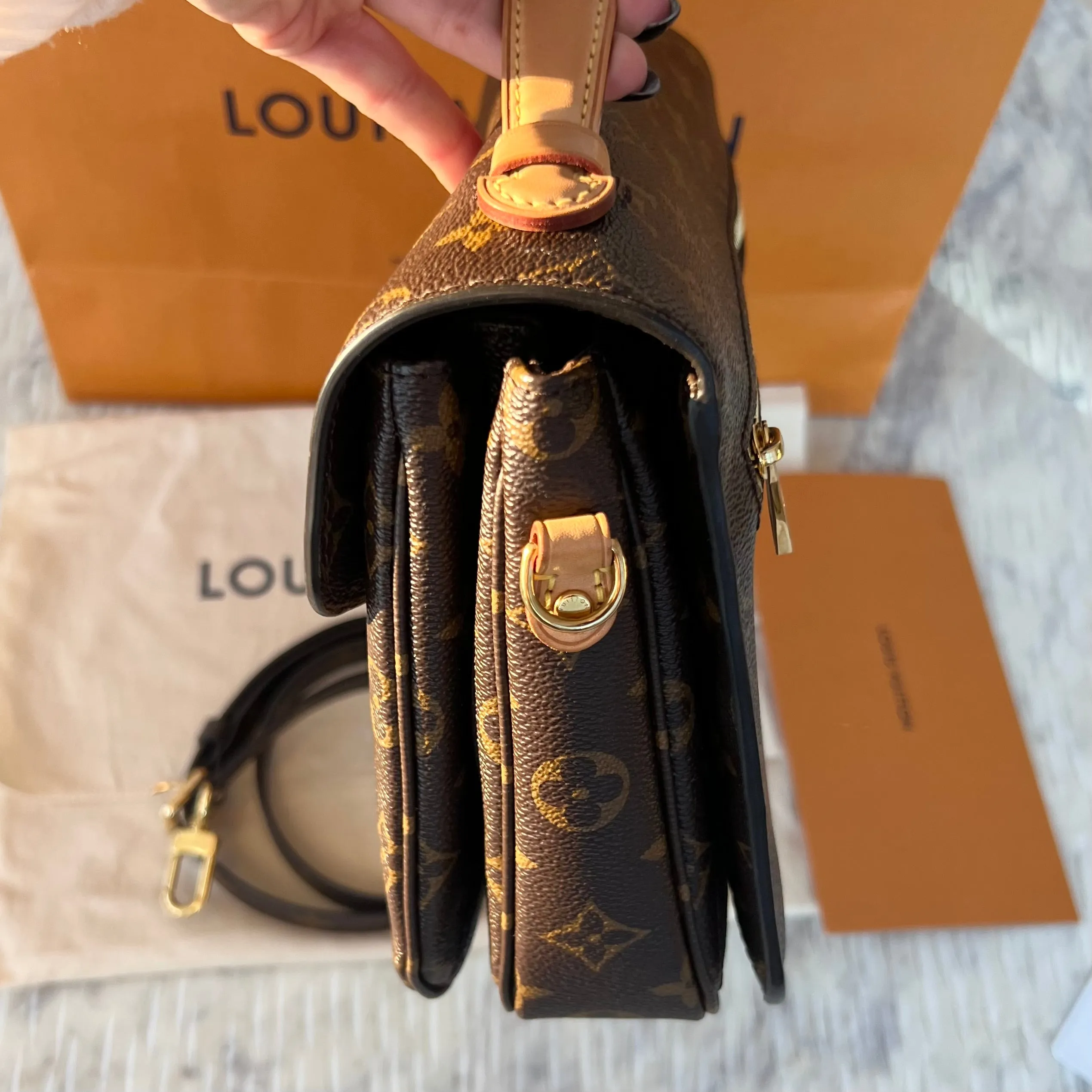 Louis Vuitton Pochette Metis Bag